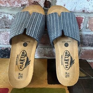 EUC Plakton Celeste Flat Sandal In Metallic Nickel. Women's Size: 5.